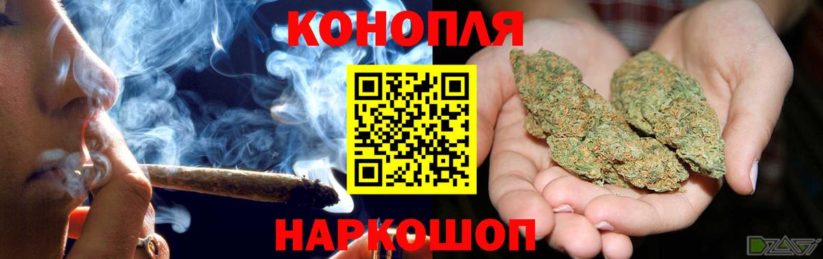 Конопля сатива Сертолово